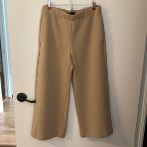 Ann Taylor cropped knit pants in M